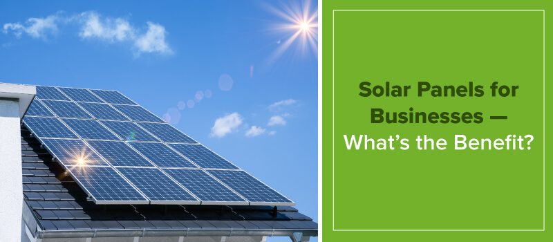 Solar Panel Benefits for Businesses