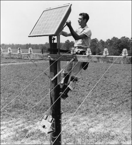 Photo via Solar Cell Central.