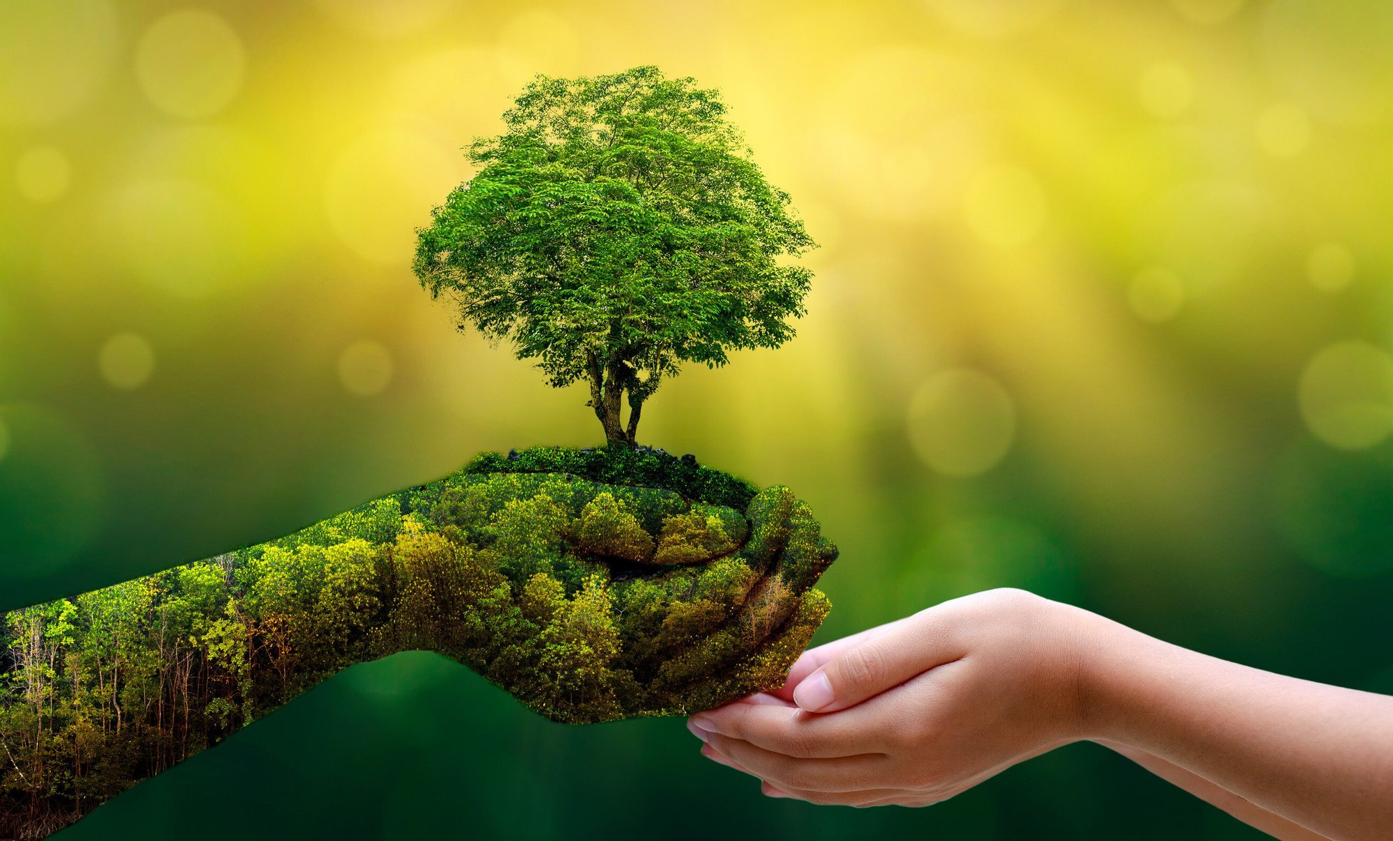 environment-friendly-solar